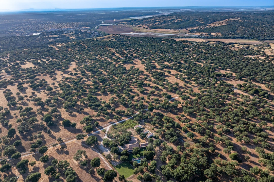 Moradia T2 para Venda em Santa Maria do Castelo e Santiago e Santa Susana Foto 35
