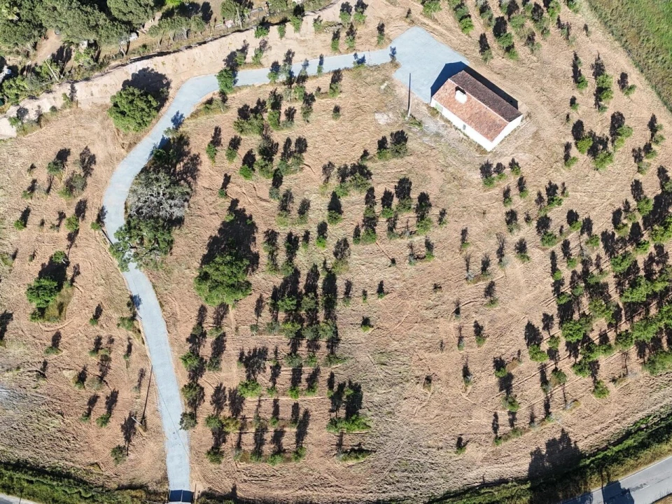 Moradia T0 para Venda em Grândola e Santa Margarida da Serra Foto 18