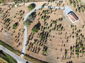 Moradia T0 para Venda em Grândola e Santa Margarida da Serra