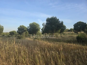 Terreno para Venda em Ourique