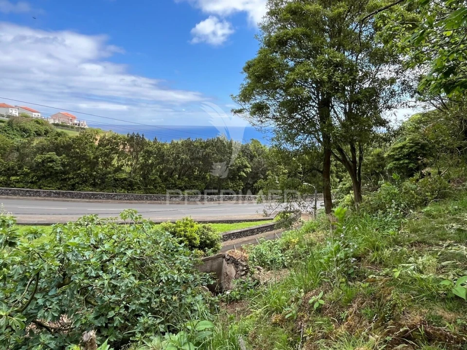 Terreno para Venda em Quatro Ribeiras Foto 4