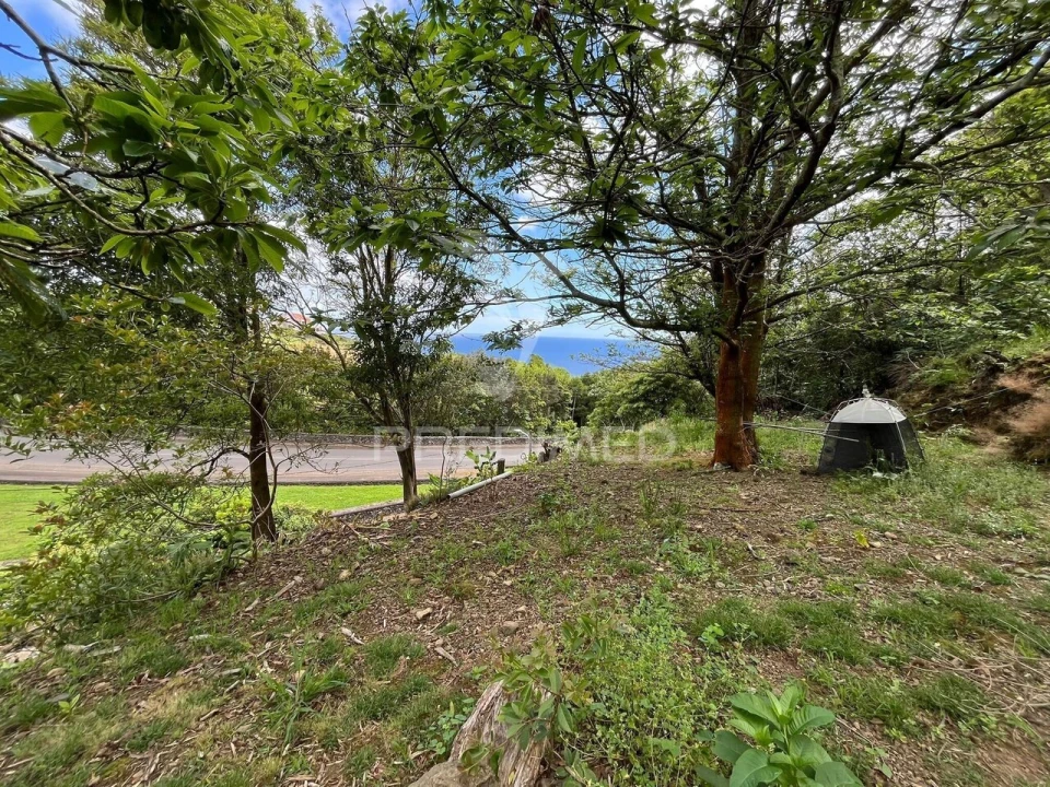 Terreno para Venda em Quatro Ribeiras Foto 3