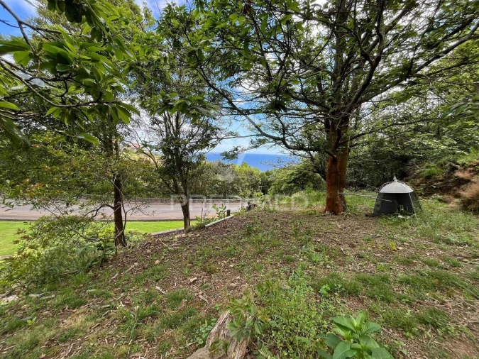 Terreno para Venda em Quatro Ribeiras Foto 3