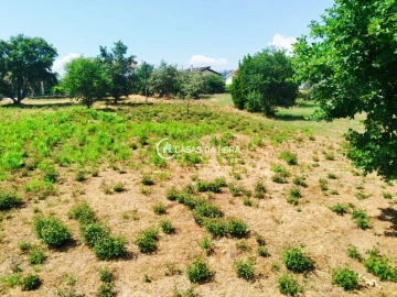 Terreno para Venda em Orgens