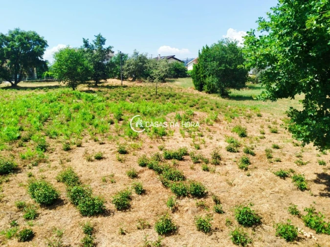 Terreno para Venda em Orgens Foto 3