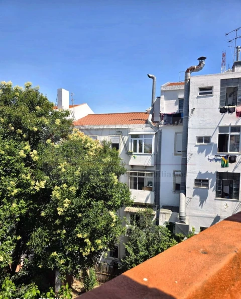 Apartamento T2 para Venda em São Vicente