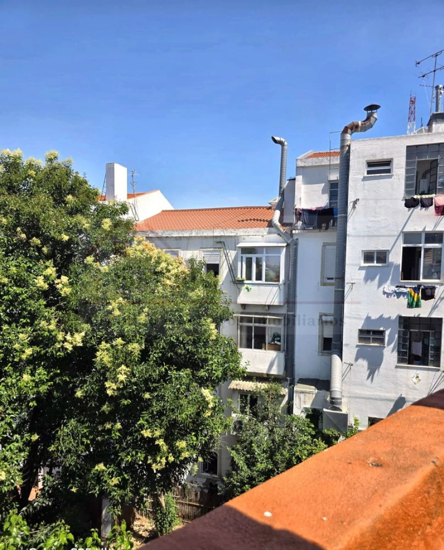 Apartamento T2 para Venda em São Vicente Foto 19