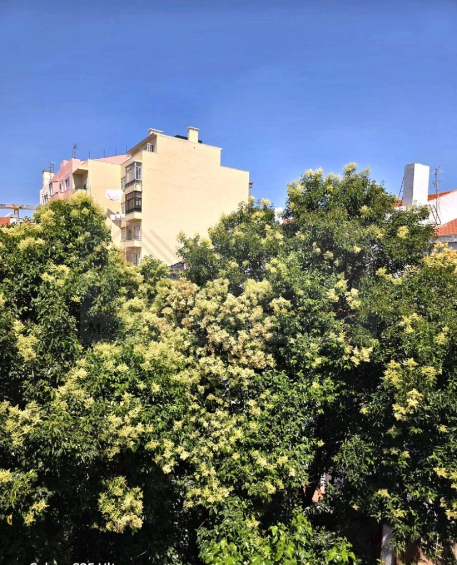 Apartamento T2 para Venda em São Vicente Foto 15
