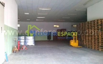 Loja para Arrendamento em Castelo Branco