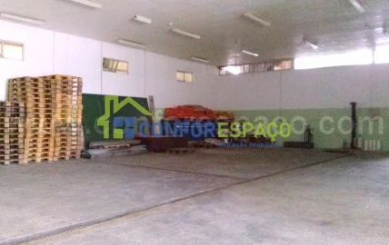 Loja para Arrendamento em Castelo Branco