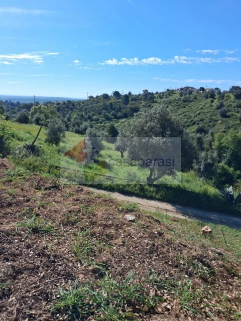 Terreno para Venda em Montargil