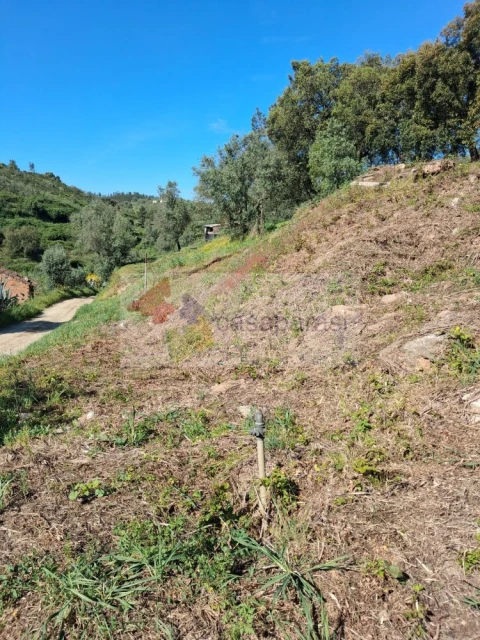 Terreno para Venda em Montargil
