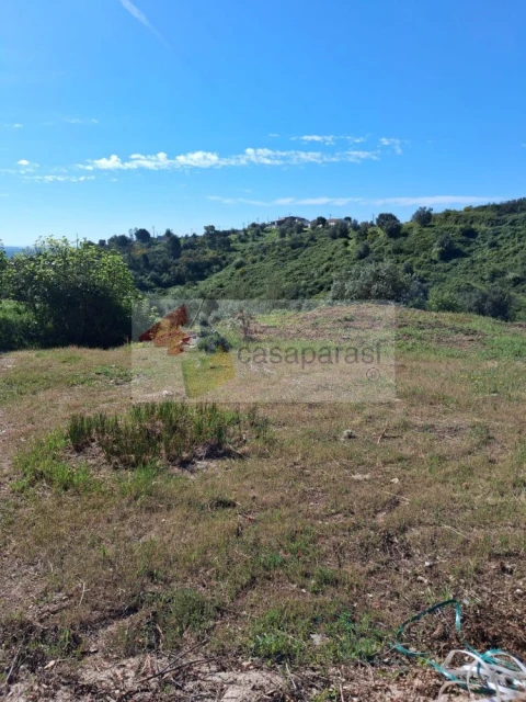 Terreno para Venda em Montargil