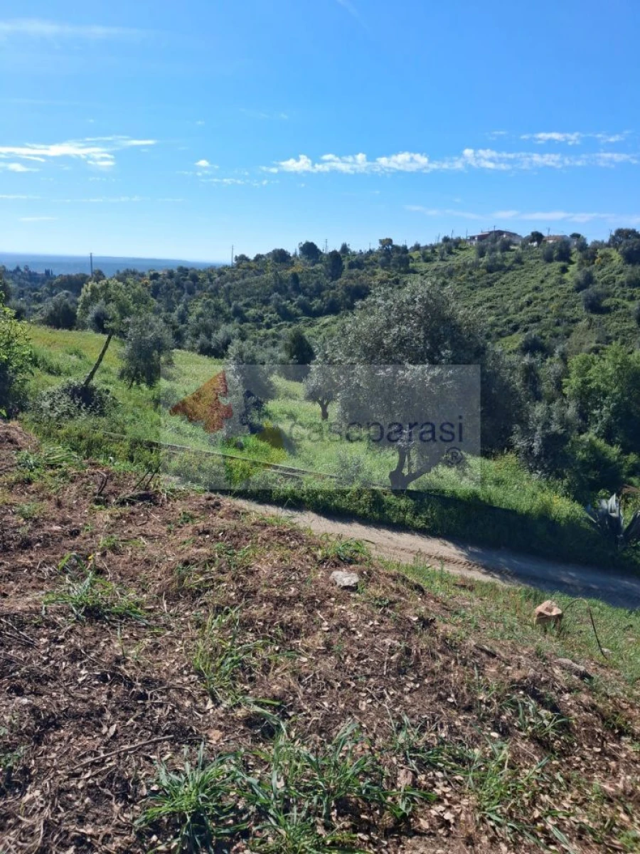 Terreno para Venda em Montargil Foto 2