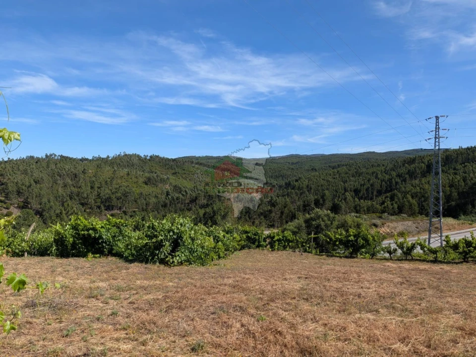 Moradia T1 para Venda em Sertã Foto 34