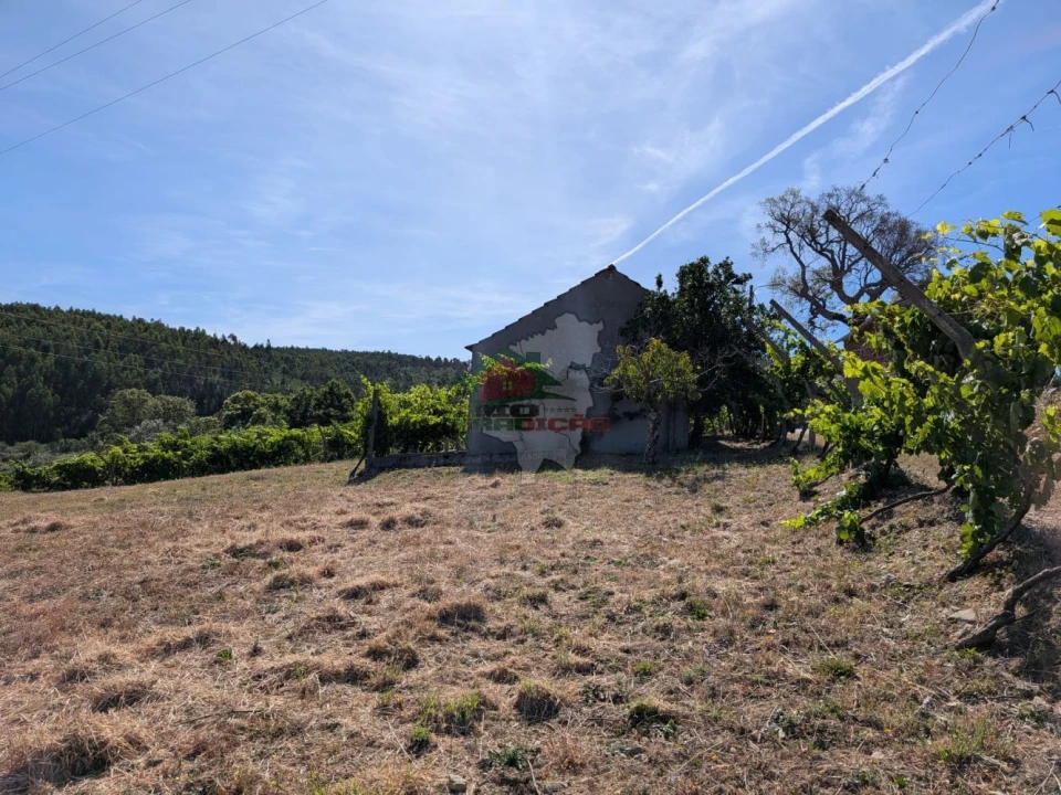 Moradia T1 para Venda em Sertã Foto 32