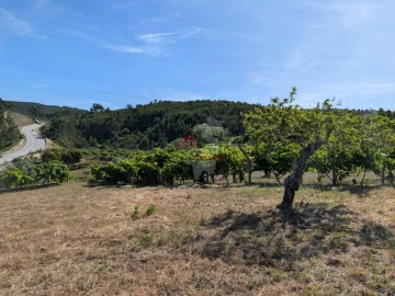 Moradia T1 para Venda em Sertã