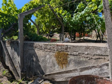 Moradia T1 para Venda em Sertã