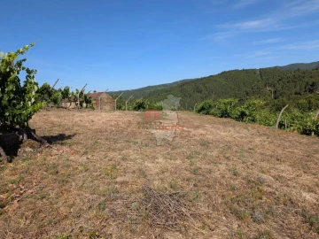 Moradia T1 para Venda em Sertã