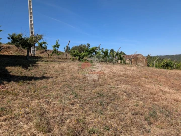 Moradia T1 para Venda em Sertã