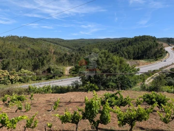 Moradia T1 para Venda em Sertã
