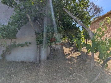 Moradia T1 para Venda em Sertã