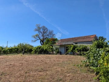 Moradia T1 para Venda em Sertã