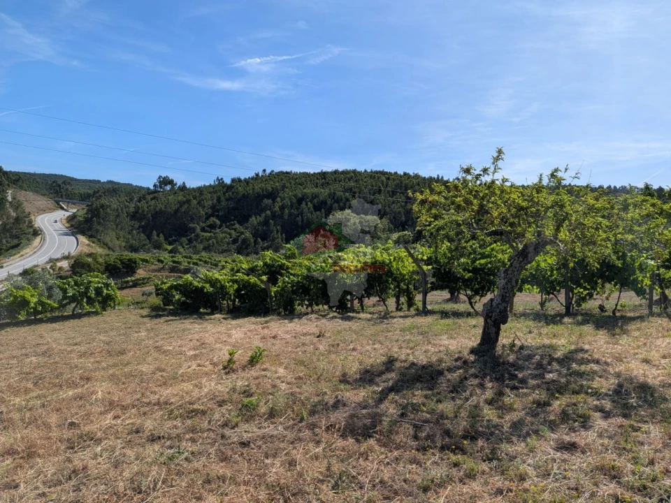 Moradia T1 para Venda em Sertã Foto 24