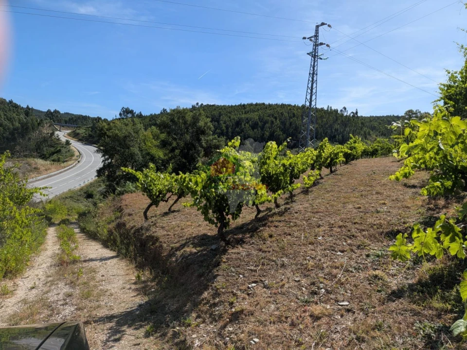Moradia T1 para Venda em Sertã Foto 33