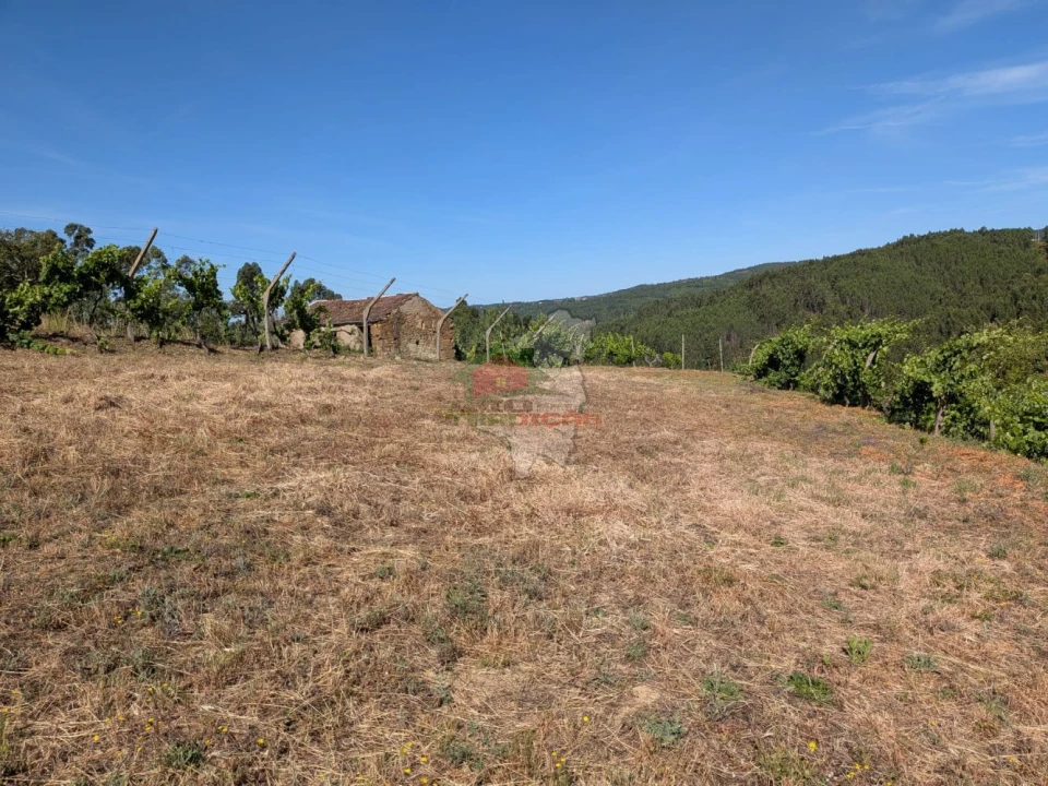 Moradia T1 para Venda em Sertã Foto 28