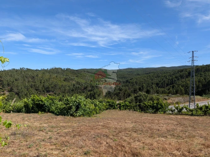 Moradia T1 para Venda em Sertã Foto 34