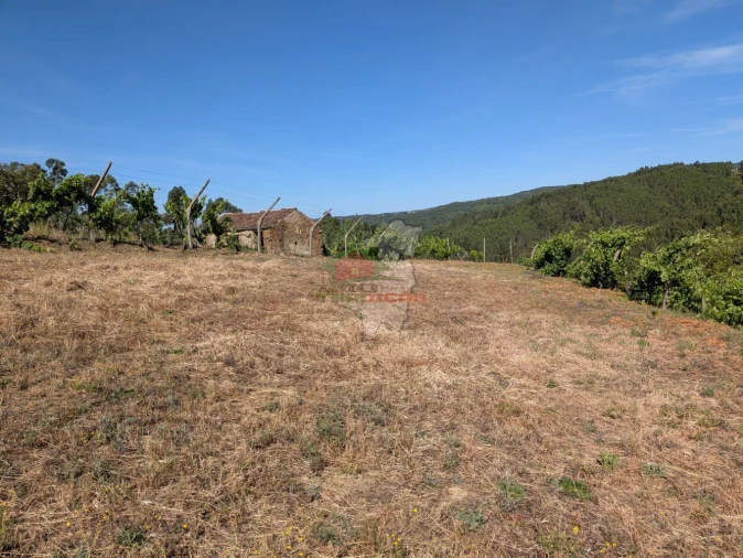Moradia T1 para Venda em Sertã Foto 28