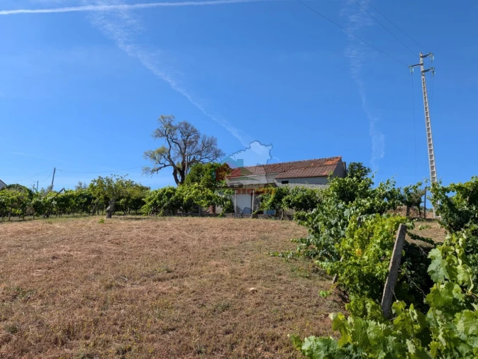 Moradia T1 para Venda em Sertã Foto 35