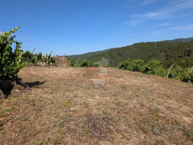 Moradia T1 para Venda em Sertã Foto 25