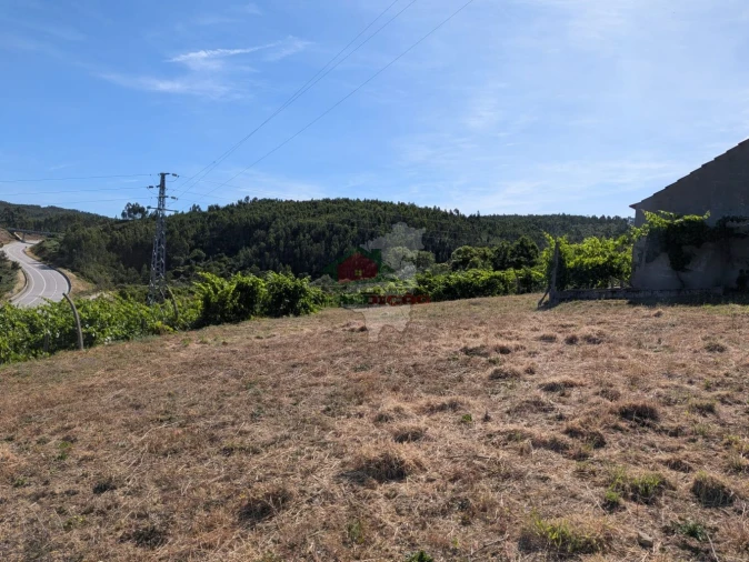 Moradia T1 para Venda em Sertã Foto 31