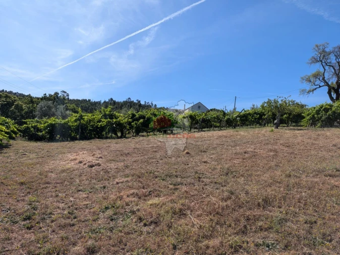 Moradia T1 para Venda em Sertã Foto 27