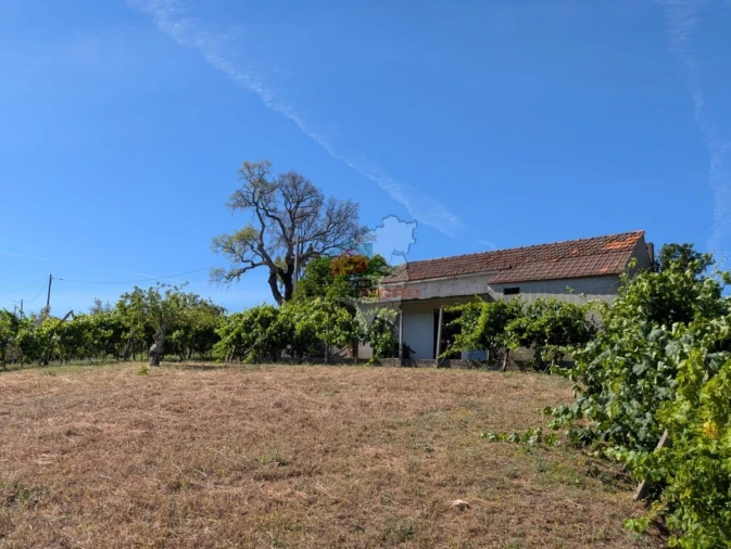 Moradia T1 para Venda em Sertã Foto 36