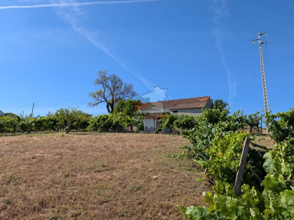 Moradia T1 para Venda em Sertã Foto 35