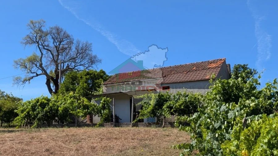 Moradia T1 para Venda em Sertã