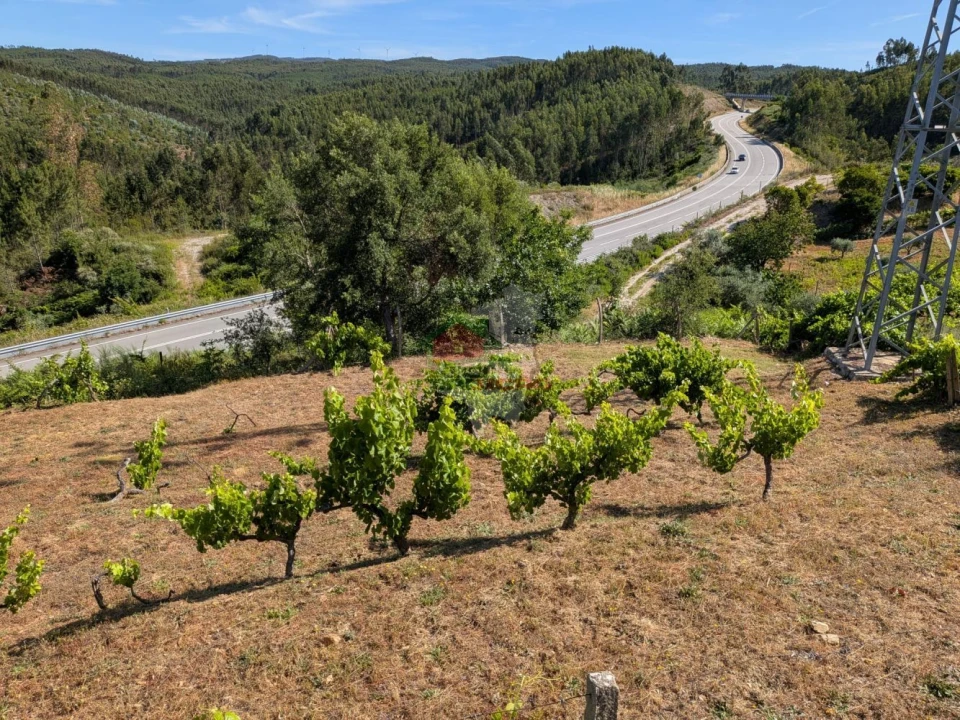 Moradia T1 para Venda em Sertã Foto 21
