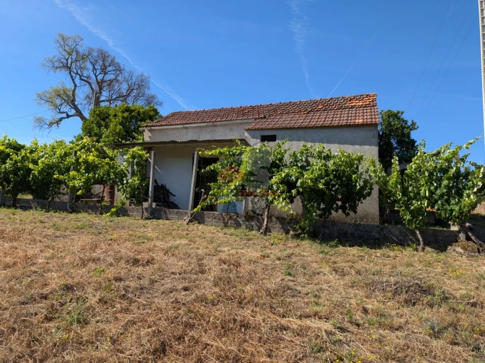 Moradia T1 para Venda em Sertã Foto 2
