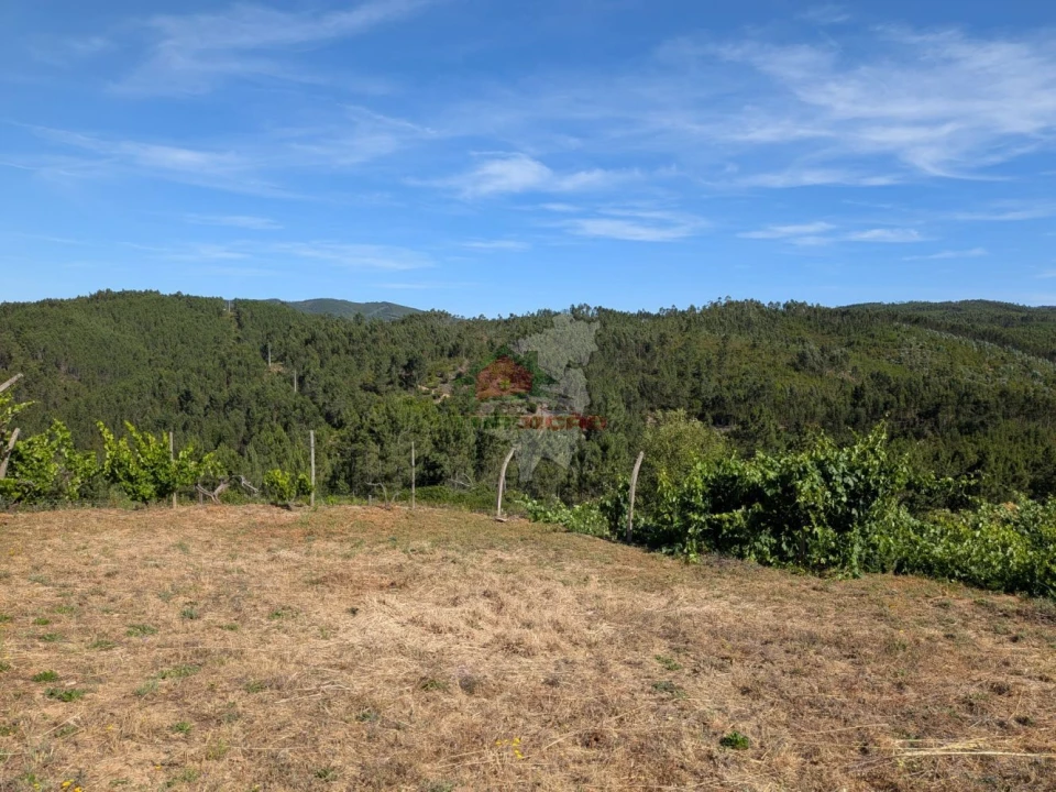 Moradia T1 para Venda em Sertã Foto 30