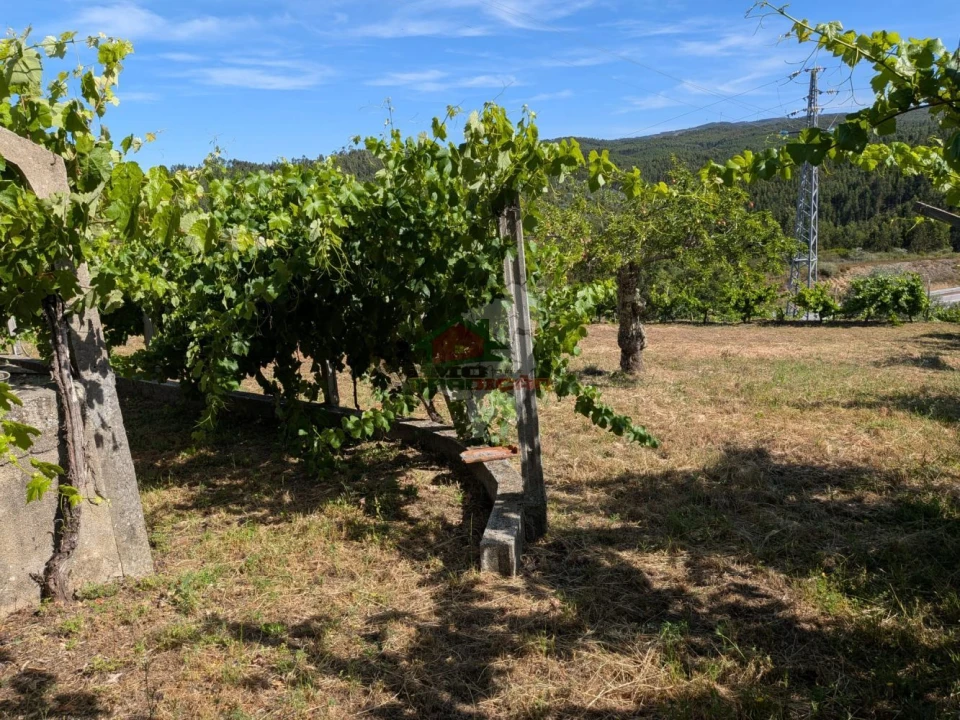 Moradia T1 para Venda em Sertã Foto 4