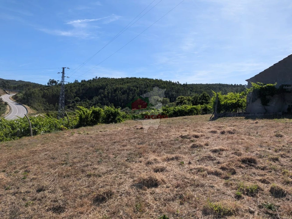 Moradia T1 para Venda em Sertã Foto 31