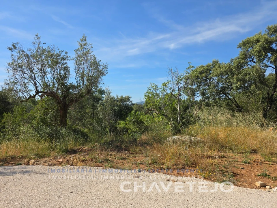 Moradia T3 para Venda em Areias e Pias Foto 43