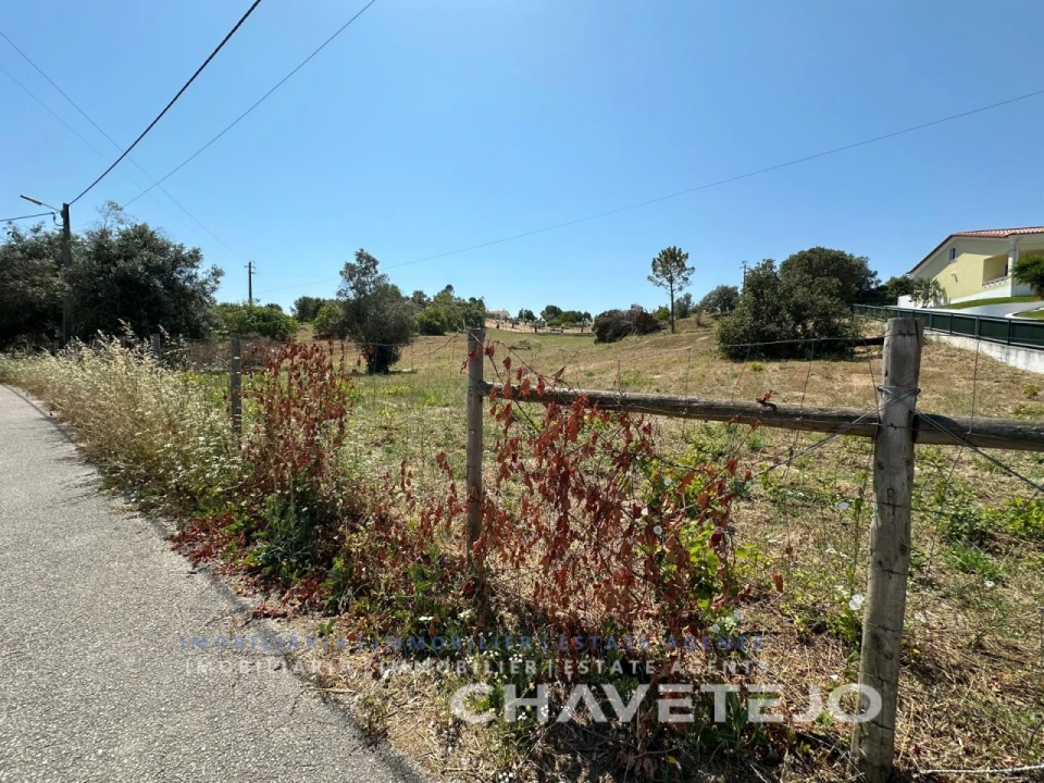 Terreno para Venda em Madalena e Beselga Foto 2
