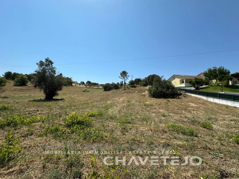 Terreno para Venda em Madalena e Beselga Foto 3
