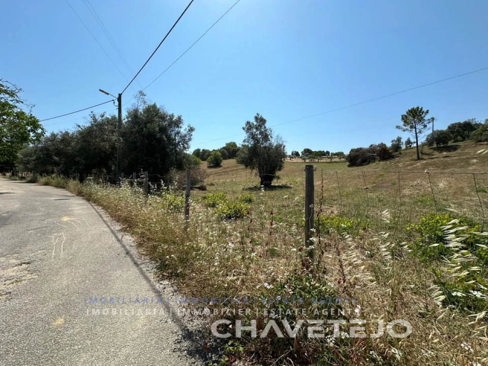 Terreno para Venda em Madalena e Beselga Foto 4