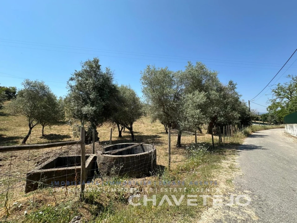 Terreno para Venda em Madalena e Beselga Foto 7
