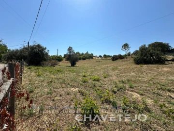 Terreno para Venda em Madalena e Beselga